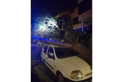 Bomberos de la Diputación retiran un pino caído en la Urbanización Tijuana de Laguna de Duero.- TWITTER BOMBEROS DIPUTACIÓN