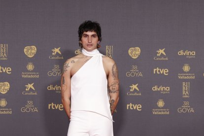 'La Dani' en la alfombra roja de la 38 edición de los Premios Goya. -PREMIOS GOYA