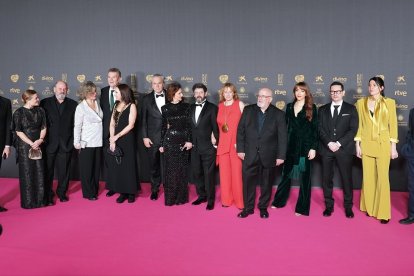 Alfombra roja de la 38 edición de los Premios Goya. -ICAL