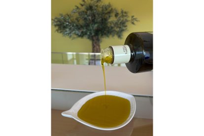Almazara y olivos de Pago de Valdecuevas en Medina de Rioseco, Valladolid - ICAL