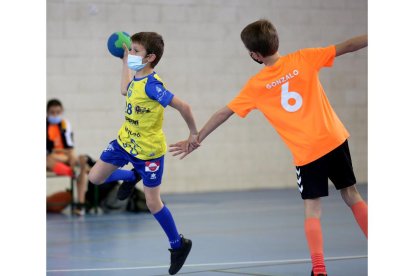 Jornada de balonmano en Viana de Cega. / E.M.