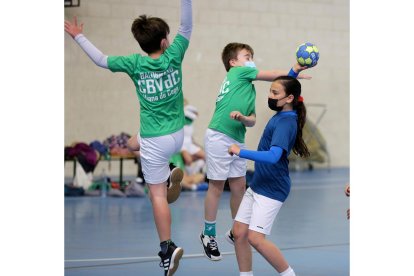 Jornada de balonmano en Viana de Cega. / E.M.