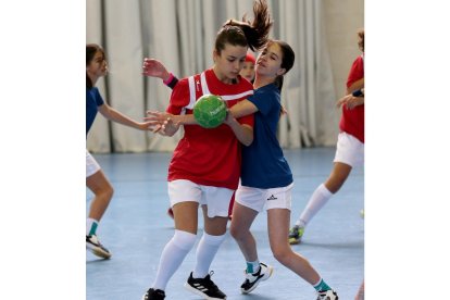 Jornada de balonmano en Viana de Cega. / E.M.