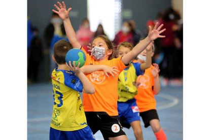 Jornada de balonmano en Viana de Cega. / E.M.