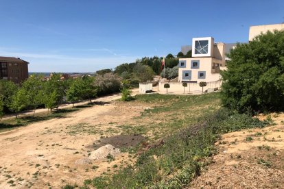 Parcela donde se ubicará el nuevo Espacio Joven anunciado por Puente, junto a la biblioteca de Parquesol. E.M.