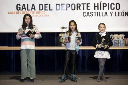 Entrega de algunas de las medallas a galardonados. / M. A.