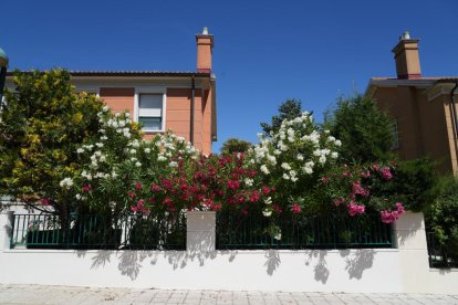 Calle Fidelio en el barrio de Fuente Berrocal. J.M. LOSTAU