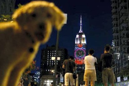 Un perro se cruza en esta instantánea de la proyección en el Empire State Building. EDUARDO MUÑOZ / REUTERS