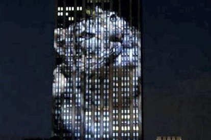 Varios animales en peligro de extinción se proyectaron en la cara sur del Empire State. KENA BETANCUR / AFP