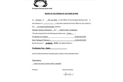 Documento de la subasta por la pelea defensa cinturón de la Unión Europea. / EL MUNDO
