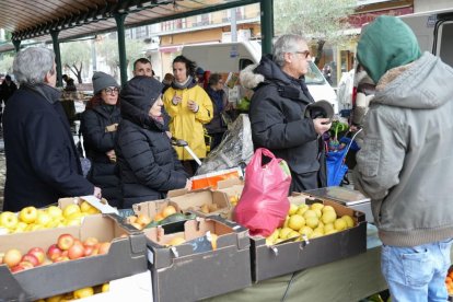 Mercado ecológico en Plaza España. / J.M.LOSTAU