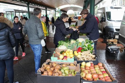 Mercado ecológico en Plaza España. / J.M.LOSTAU