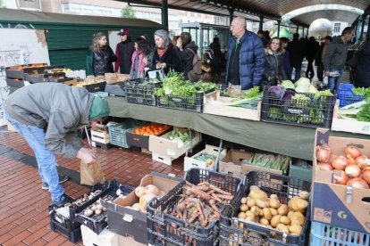 Mercado ecológico en Plaza España. / J.M.LOSTAU