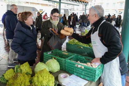 Mercado ecológico en Plaza España. / J.M.LOSTAU