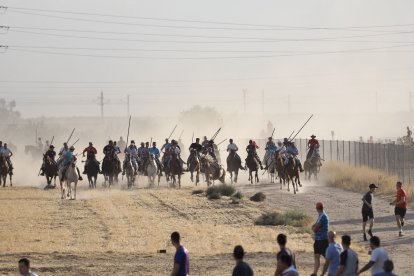 Fotografías del encierro mixto de Medina del Campo.-  PHOTOGENIC / SERGIO BORJA
