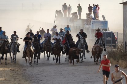 Fotografías del encierro mixto de Medina del Campo.-  PHOTOGENIC / SERGIO BORJA