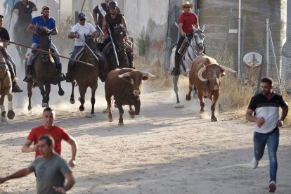 Fotografías del encierro mixto de Medina del Campo.-  PHOTOGENIC / SERGIO BORJA
