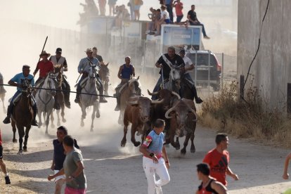 Fotografías del encierro mixto de Medina del Campo.-  PHOTOGENIC / SERGIO BORJA