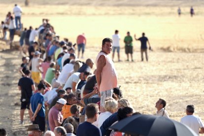 Fotografías del encierro mixto de Medina del Campo.-  PHOTOGENIC / SERGIO BORJA