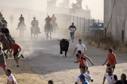 Fotografías del encierro mixto de Medina del Campo.-  PHOTOGENIC / SERGIO BORJA