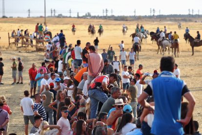 Fotografías del encierro mixto de Medina del Campo.-  PHOTOGENIC / SERGIO BORJA