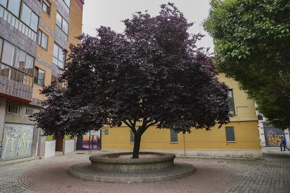 PLAZA DE CARRANZA. J. M. LOSTAU