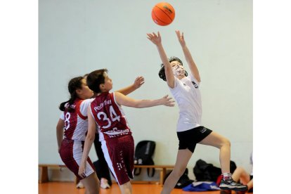 Clausura de las competiciones de baloncesto en Olmedo. / E. M.