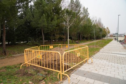 Nuevas plantaciones en otras zonas del barrio para que el balance sea positivo.- J.M. LOSTAU