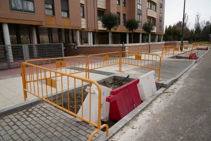 Los alcorques son de mayor tamaño.- J.M. LOSTAU