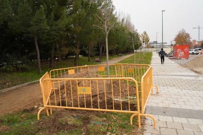Nuevas plantaciones en otras zonas del barrio para que el balance sea positivo.- J.M. LOSTAU