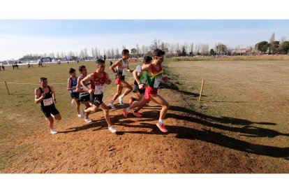 El ganador, Aouina, en el centro del grupo. / M. ÁLVAREZ