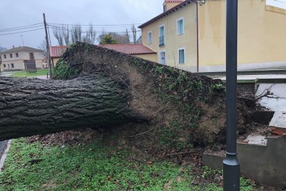 DAÑOS CAUSADOS POR EL TEMPORAL EN SAN MARTÍN DE VALVENÍ