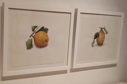 Membrillos de Enrique Reche
