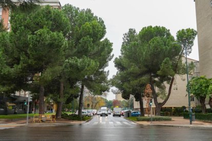 Calle Joaquín Velasco Martín.- J.M. LOSTAU