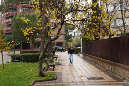 Calle Joaquín Velasco Martín.- J.M. LOSTAU