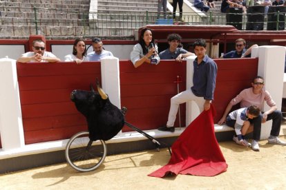 Jornada de puertas abiertas en la plaza de toros de Valladolid. - PHOTOGENIC