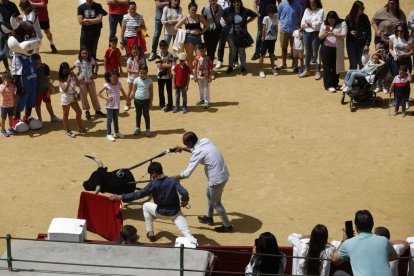 Jornada de puertas abiertas en la plaza de toros de Valladolid. - PHOTOGENIC