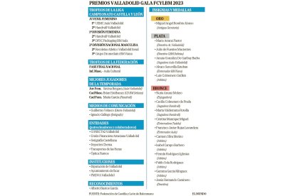 Premiados de Valladolid en la Gala de Balonmano de Castilla y León. / EL MUNDO
