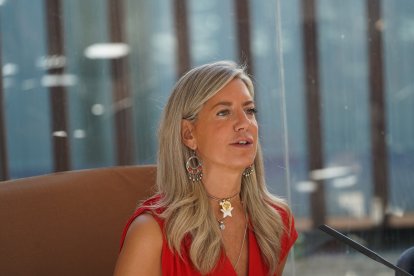 La concejala de Educación y Cultura, Irene Carvajal, en la presentación del Programa ScnaFamiliar. -AYTO. VALLADOLID