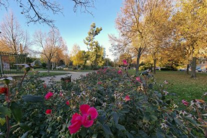 Barrio de La Victoria. Jardín botánico de La Victoria en la actualidad. - PHOTOGENIC
