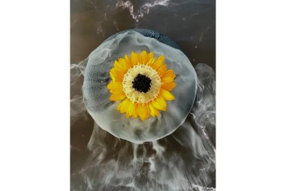 ‘The sea flower’ de Bahrein