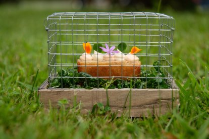 'Mr Rabbit' de Kobika en Vizcaya