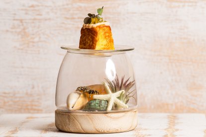 'Tizón' de Gran Sol en Guipúzcoa.