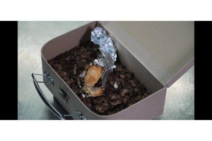 'Recuerdos de Infancia' de Los Alamos Laboratorio  de Salamanca.