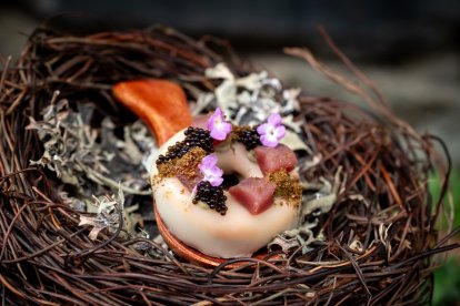 Donete de Paloma en Skabetxe de Abeto de