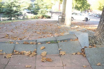 Baches y aceras levantadas en Villa del Prado.- PHOTOGENIC