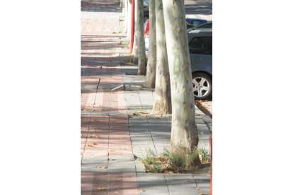 Baches y aceras levantadas en Villa del Prado.- PHOTOGENIC