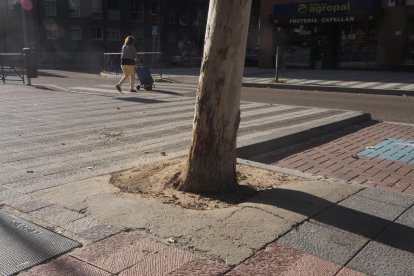 Baches y aceras levantadas en Villa del Prado.- PHOTOGENIC