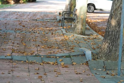 Baches y aceras levantadas en Villa del Prado.- PHOTOGENIC