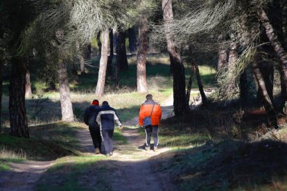 Operativo de búsqueda de la aeronave desaparecida a dos kilómetros de San Miguel del Pino. - J. M. LOSTAU